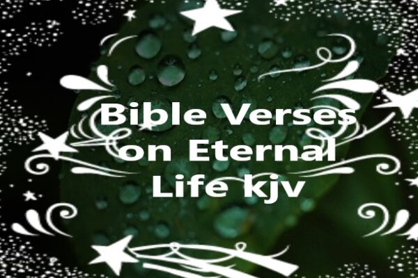 28 Bible Verses On Eternal Life Kjv Turn To Jesus